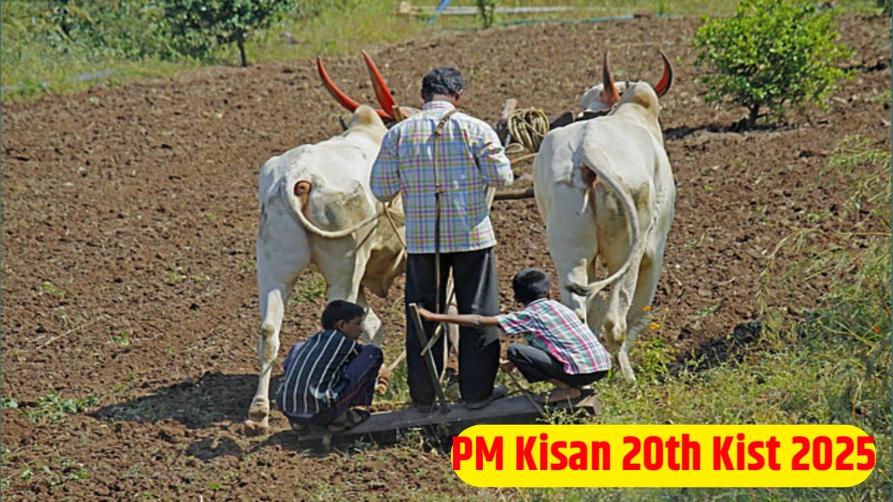 Pradhanmantri Kisan 20th Date out